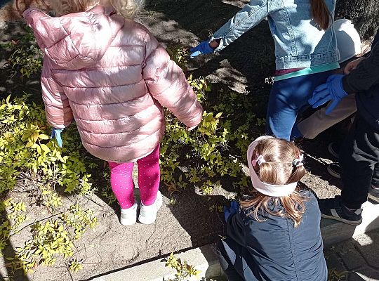 Gr .I Upiększamy nasz ogród