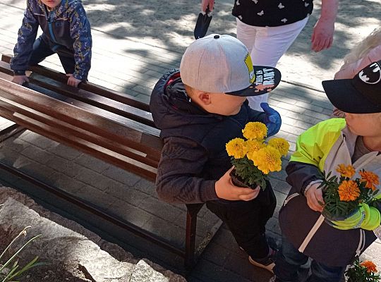 Gr .I Upiększamy nasz ogród