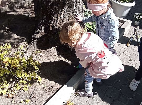 Gr .I Upiększamy nasz ogród