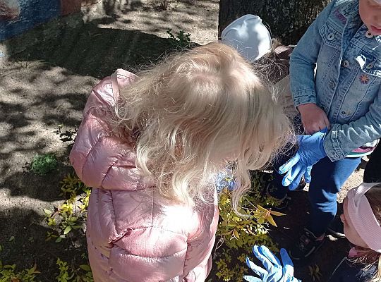 Gr .I Upiększamy nasz ogród