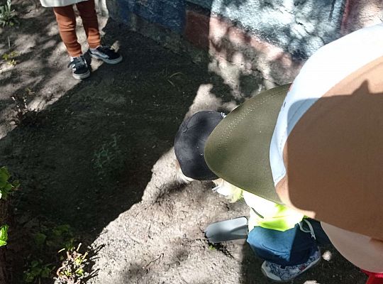 Gr .I Upiększamy nasz ogród