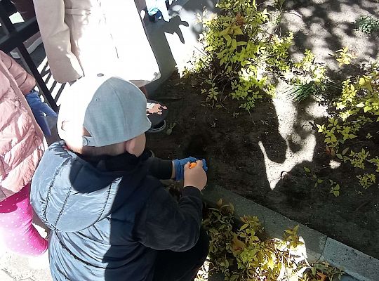 Gr .I Upiększamy nasz ogród