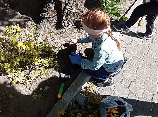 Gr .I Upiększamy nasz ogród