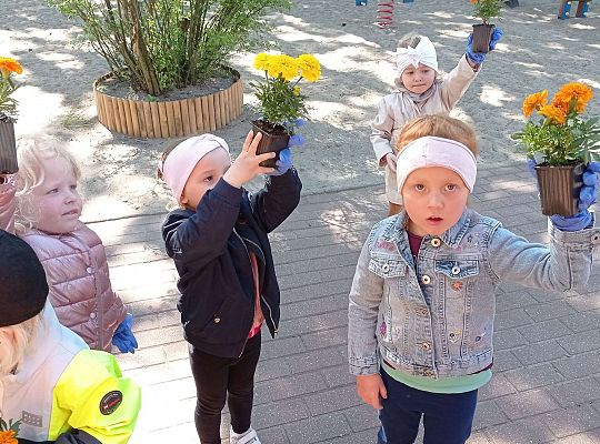 Gr .I Upiększamy nasz ogród