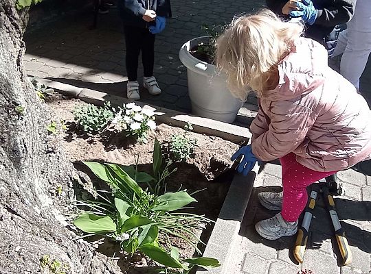 Gr .I Upiększamy nasz ogród