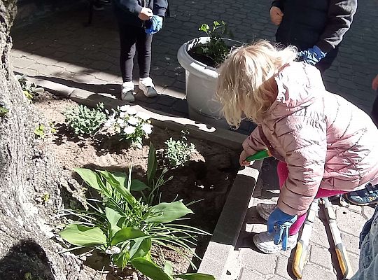 Gr .I Upiększamy nasz ogród