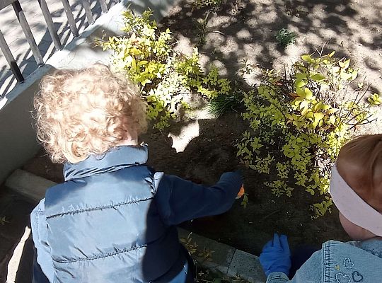 Gr .I Upiększamy nasz ogród