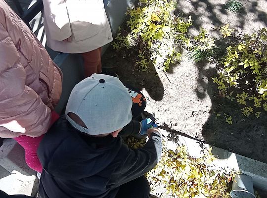 Gr .I Upiększamy nasz ogród