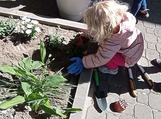 Gr .I Upiększamy nasz ogród