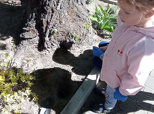 Gr .I Upiększamy nasz ogród