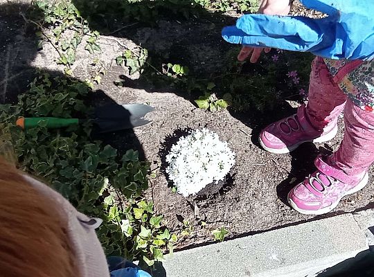 Gr .I Upiększamy nasz ogród