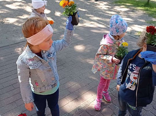 Gr .I Upiększamy nasz ogród