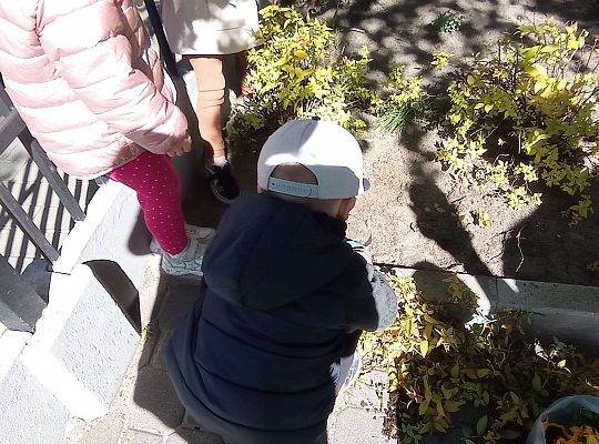 Gr .I Upiększamy nasz ogród