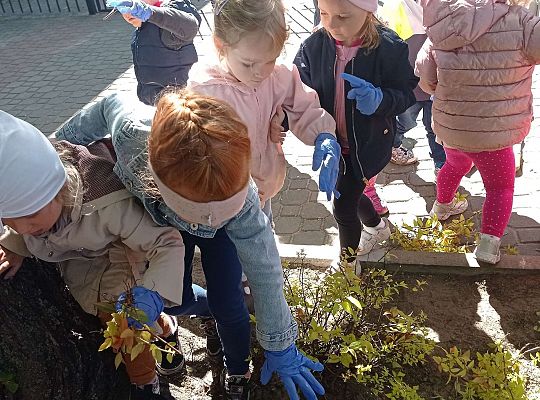 Gr .I Upiększamy nasz ogród