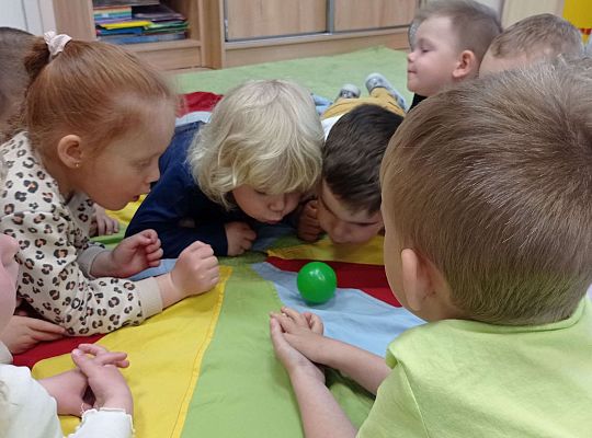 Gr. I "Światowy Dzień Pszczół" - 20.05