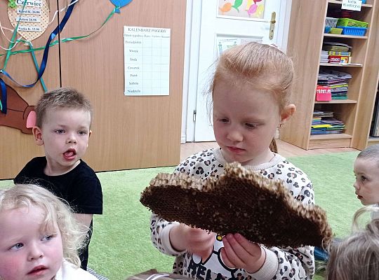 Gr. I "Światowy Dzień Pszczół" - 20.05