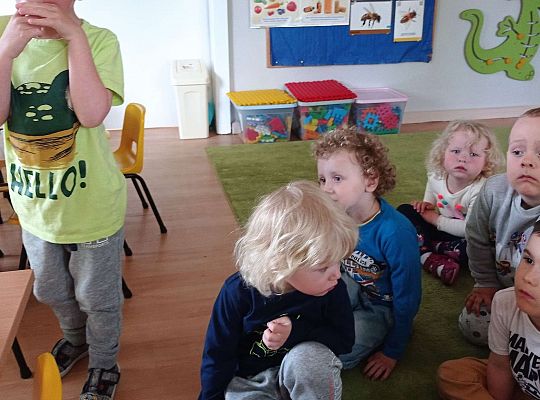 Gr. I "Światowy Dzień Pszczół" - 20.05