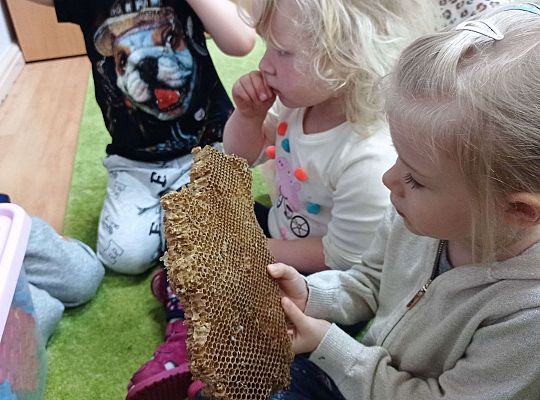 Gr. I "Światowy Dzień Pszczół" - 20.05