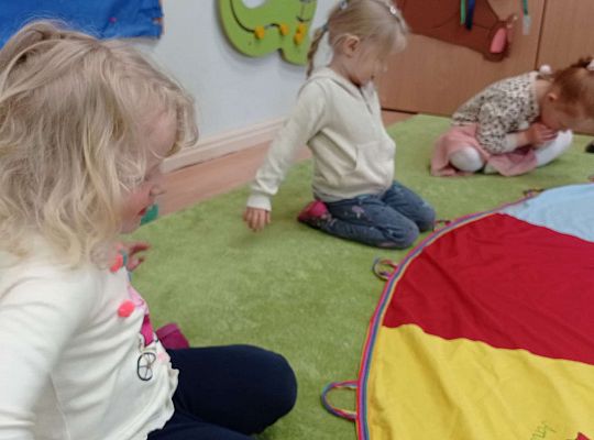 Gr. I "Światowy Dzień Pszczół" - 20.05