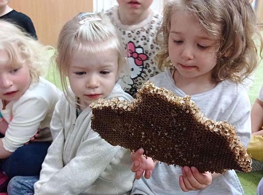 Gr. I "Światowy Dzień Pszczół" - 20.05