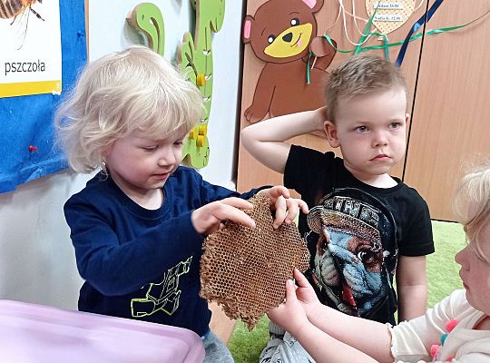 Gr. I "Światowy Dzień Pszczół" - 20.05