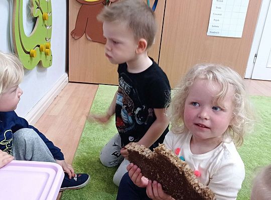 Gr. I "Światowy Dzień Pszczół" - 20.05