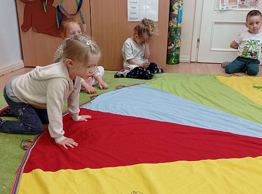 Gr. I "Światowy Dzień Pszczół" - 20.05