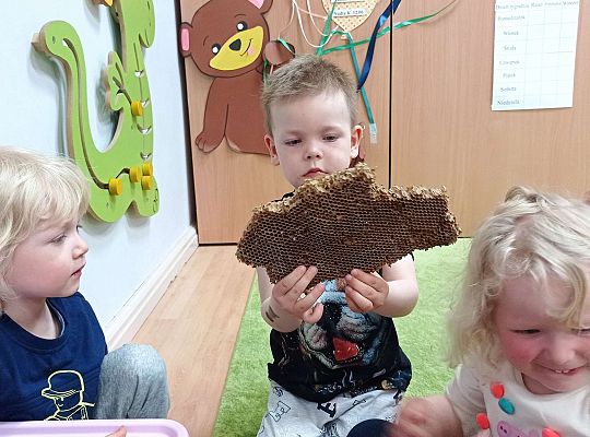 Gr. I "Światowy Dzień Pszczół" - 20.05