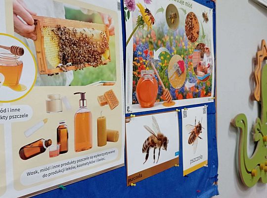 Gr. I "Światowy Dzień Pszczół" - 20.05