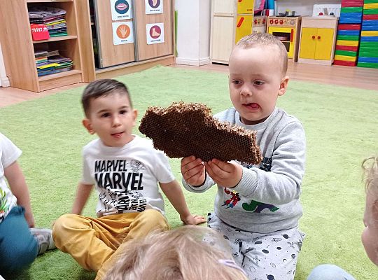 Gr. I "Światowy Dzień Pszczół" - 20.05