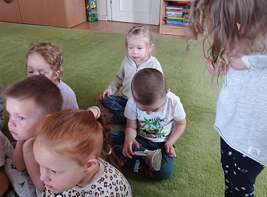 Gr. I "Światowy Dzień Pszczół" - 20.05