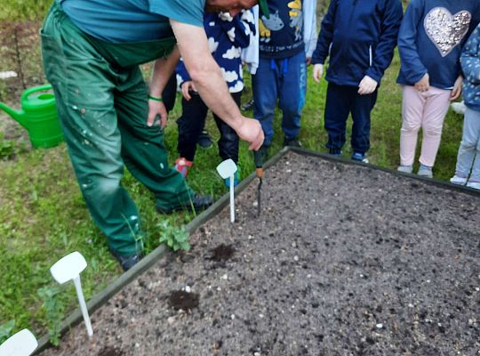 Gr III W naszym ogródeczku