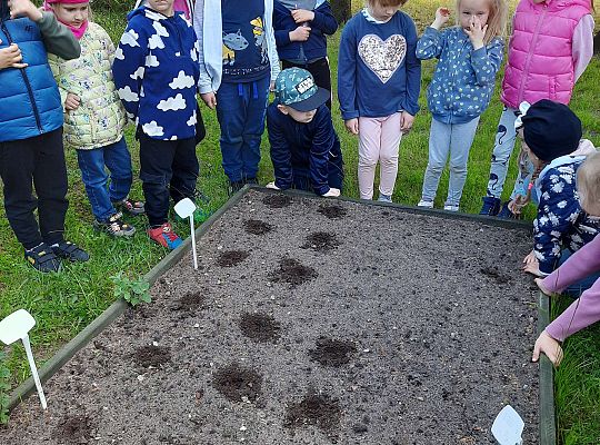 Gr III W naszym ogródeczku