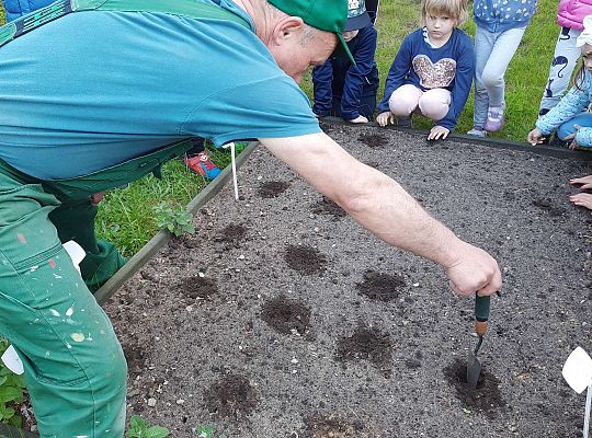 Gr III W naszym ogródeczku