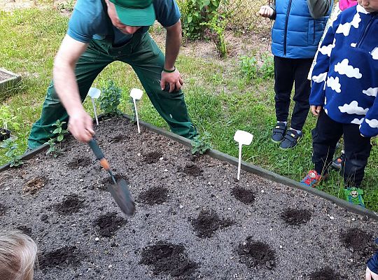 Gr III W naszym ogródeczku