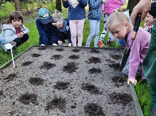 Gr III W naszym ogródeczku