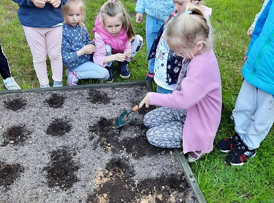 Gr III W naszym ogródeczku