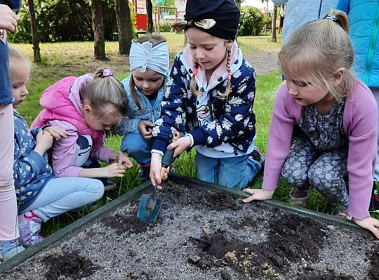 Gr III W naszym ogródeczku