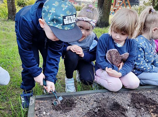 Gr III W naszym ogródeczku