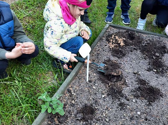 Gr III W naszym ogródeczku