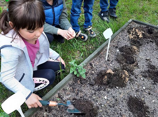 Gr III W naszym ogródeczku