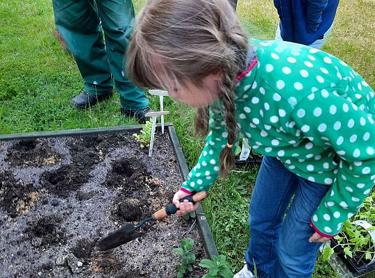 Gr III W naszym ogródeczku