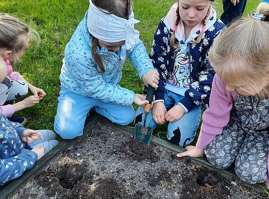 Gr III W naszym ogródeczku