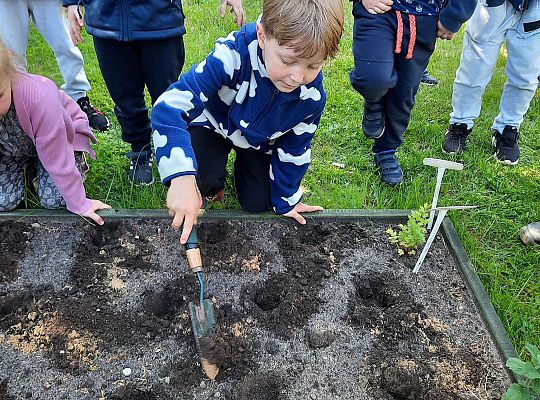Gr III W naszym ogródeczku