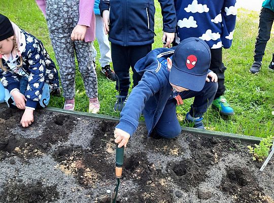 Gr III W naszym ogródeczku