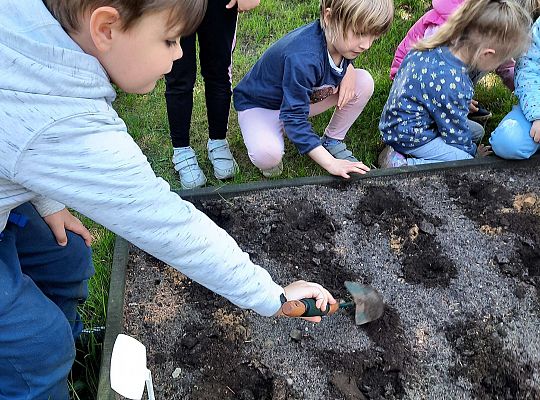 Gr III W naszym ogródeczku