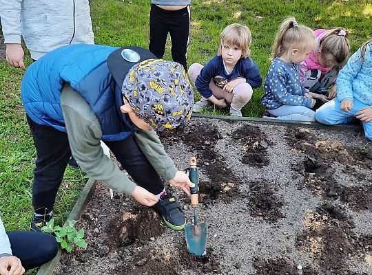 Gr III W naszym ogródeczku