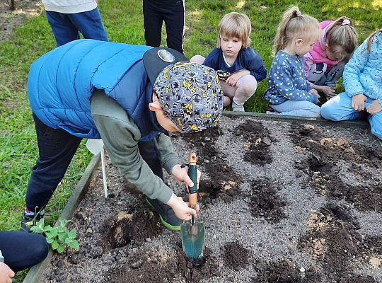 Gr III W naszym ogródeczku