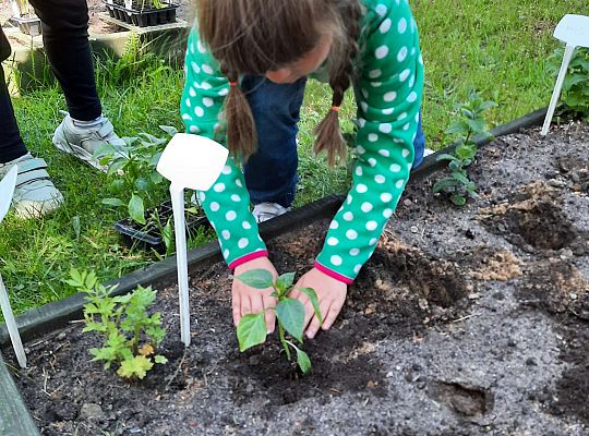 Gr III W naszym ogródeczku