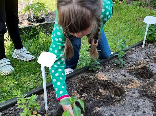 Gr III W naszym ogródeczku